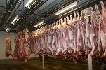 Peste o tonă de carne posibil infectată cu virusul pestei porcine africane, retrasă de la comercializare