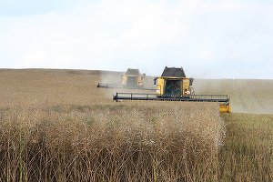 LISTĂ - 2.100 hectare sunt scoase la licitație de catre ADS, pentru tinerii fermieri. Durata concesiunii este de 20 de ani