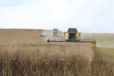 LISTĂ - 2.100 hectare sunt scoase la licitație de catre ADS, pentru tinerii fermieri. Durata concesiunii este de 20 de ani
