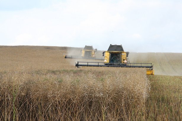 LISTĂ - 2.100 hectare sunt scoase la licitație de catre ADS, pentru tinerii fermieri. Durata concesiunii este de 20 de ani