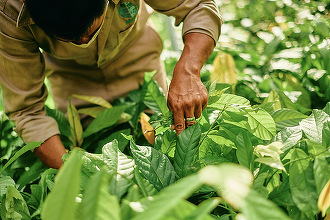 Mars livrează o scădere absolută a gazelor cu efect de seră cu încă 10%