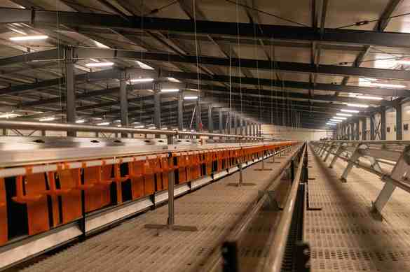 FOTO Grup Șerban Holding inaugurează Ferma Avicolă Moldavia, investiție de 11,5 milioane euro