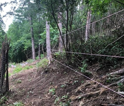 Bani pentru instalarea de garduri electrice împotriva urșilor