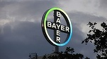 Bayer e gata să plătească peste 10 miliarde de dolari pentru a închide toate procese din SUA legate de erbicidul Roundup