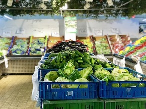 Exporturile agroalimentare ale UE ating un maxim istoric