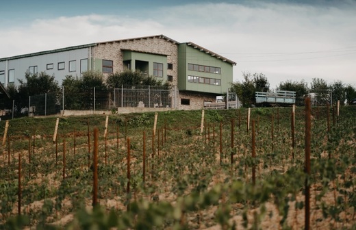 Olteanu, CEO Gramma Wine: Micii producători de vin vor fi afectați de noua garanție pentru distribuția de alcool, împreună cu lanțurile de transport și vânzări

