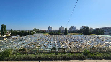 FOTO Apel inedit al Stațiunii Legumicole din Buzău pentru donații de geamuri vechi, în urma pagubelor produse de furtuni