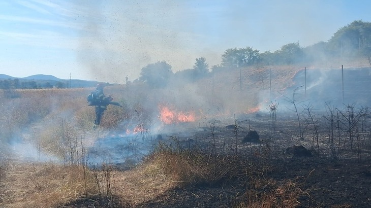 FOTO Zeci de hectare de pădure și vegetație uscată mistuite de flăcări