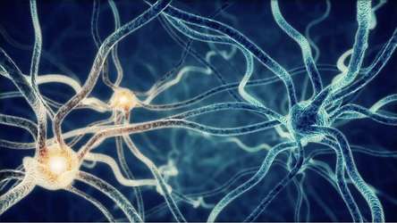 GSK și compania-mamă a Google investesc 715 milioane dolari într-o companie specializată în medicina bioelectronică