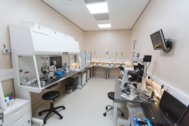 Afacerile Columna Medical Center au crescut cu 40% anul trecut, când realizat peste 1.000 de fertilizări in vitro și inseminări artificiale
