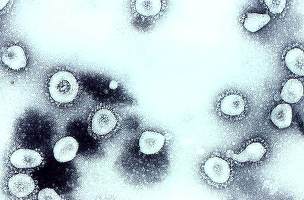 Compania farmaceutică japoneză Takeda dezvoltă un medicament împotriva noului coronavirus