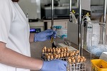 Tranzacție: FutureLife, implicat în reproducere asistată, preia pachetul majoritar al clinicii CytoGenomic Medical Laboratory 