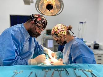 Platforma PartnerVet anunță preluarea clinicii veterinare Patrupet: Achiziția marchează primul pas în consolidarea serviciilor medicale veterinare de excelență, în România
