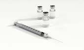 Primul vaccin împotriva infecției cu virusul Chikungunya, aproape de autorizare în UE

