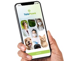 TelePaws atrage un nou investitor și vizează extinderea în Italia, Spania și Orientul Mijlociu
