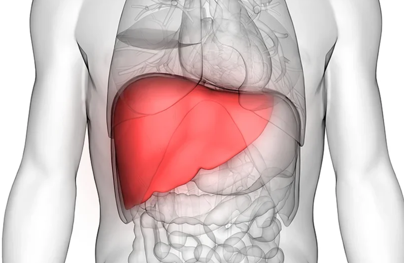 Anumite proteine din sânge pot anticipa boala hepatică chiar și cu 16 ani înainte de declanșare