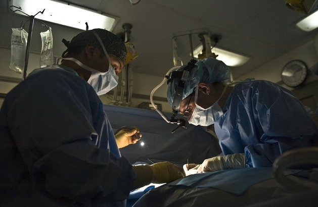 RECORD Un rinichi de porc transplantat funcționează în corpul unui bărbat din SUA timp de 271 de zile