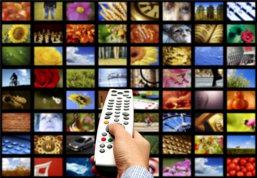 Media Fact Book 2016: Televiziunea va domina piața de media, cu 225 de milioane de euro