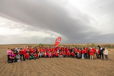 Mega Image plantează o pădure nouă, de 12.000 de copaci, unul pentru fiecare angajat