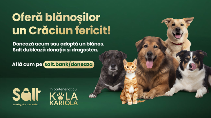 De Crăciun, nici blănoșii nu ar trebui să fie singuri. Salt Bank dublează donațiile și dragostea