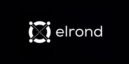 Elrond, un nou pas pe piață - contract cu Netopia pentru ca 30.000 de comercianți să accepte plata în eGold