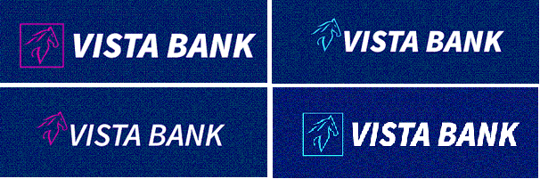 Vista Leasing IFN se capitalizează cu peste 8 milioane de lei