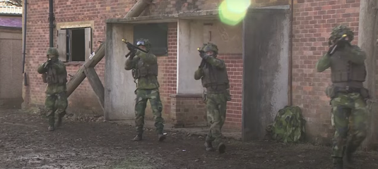 Ucraina a comandat echipamente militare unei firme din România în a 8-a zi a invaziei ruse. Tranzacția a fost blocată bancar 