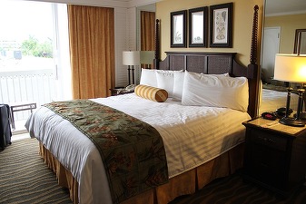 Câte hoteluri de 5 stele are România. Zona "Litorală, exclusiv orașul Constanța", cel mai mare număr de paturi