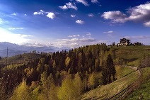 Zeci de pensiuni și vile sunt scoase la vânzare în zona Bran-Moieciu