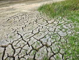 ULTIMA ORĂ Statul va impune un moratoriu, până la 31 decembrie 2024, la unele contracte de credit sau leasing 