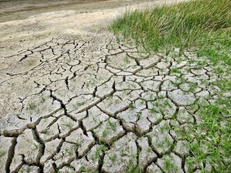 Termenul până la care fermierii pot solicita amânarea ratelor, dublat