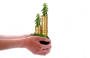 Activele nete ale celor 245 de fonduri de investiții locale și străine au scăzut ușor de la începutul anului, la 9,2 miliarde euro