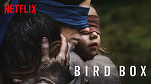 VIDEO “Bird Box”, intrat și în România, a devenit cel mai vizionat film pe Netflix, dar compania își roagă abonații să renunțe la \'\'Provocarea Bird Box\'\'