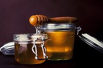 Noi norme de etichetare și amenzi de 40.000 lei pentru a preveni falsificarea mierii