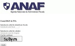 Fiscul a creat conturi speciale de TVA în Trezorerie pentru toate firmele și un instrument online pentru aflarea codurilor IBAN