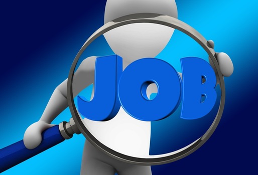 Cele mai căutate CV-uri pe platforma de recrutare online eJobs.ro