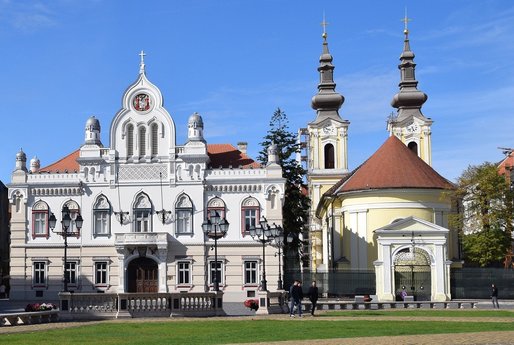 Primăria Timișoara a lansat o licitație de 29,3 milioane euro pentru amenajarea spațiilor verzi