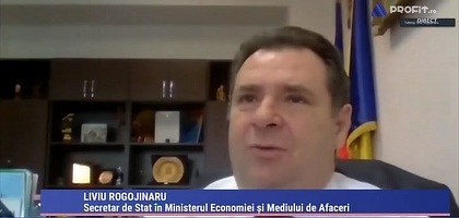 Videoconferința Profit.ro - IMM-urile în criză. Anunț oficial: Banii pentru firmele calificate la Măsura 1 de granturi IMM vor intra săptămâna viitoare. Măsura ar putea fi redeschisă  