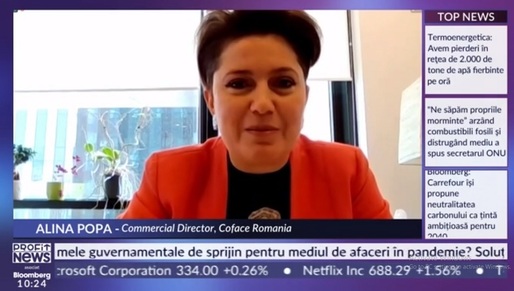 Videoconferința Profit.ro IMM - Alina Popa, director comercial, Coface România: Pandemia a afectat puternic companiile mici. A crescut îndatorarea, sprijinul din partea statului este retras gradual, iar costurile de finanțare sunt în creștere