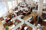 PROFIT NEWS TV Top angajatori - Poșta și CFR sunt în frunte, magazinele Profi vin și ele cu aproape 18.000 salariați