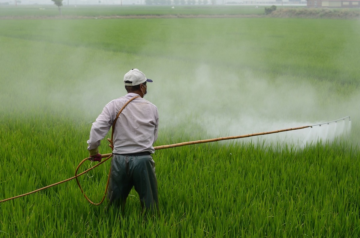 Pesticidi – La Romania, uno dei primi 10 produttori dell’UE, è diminuita…