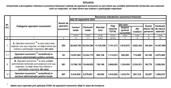 Companiile de stat pierd viteză