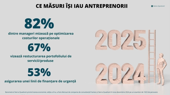 INFOGRAFICE 2025, anul înghețului în economia românească. 2 din 3 antreprenori nu vor lansa investiții semnificative 