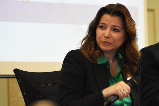 VIDEO Profit.ro IMM - Cristina Totu, CEC Bank: Firmele au avut o mare provocare anul trecut cu capitalul circulant. 230.000 de firme au capital negativ, trebuie să-și îmbunătățească indicatorii
