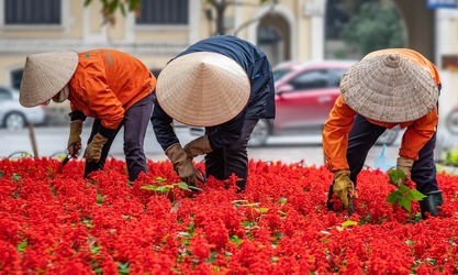 Vietnamul, afectat de noile tarife impuse de Trump: riscuri pentru exporturi și investiții străine