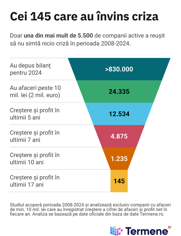 GRAFICE Realitate statistică uimitoare: Dedeman, campionul absolut. Mitul că doar multinaționalele pot genera performanțe sustenabile în România, demontat