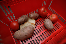 Angajații din România trec prin cea mai mare scădere a salariului real de la „tăierile lui Boc” GRAFICE