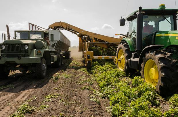 Exporturile agricole ale României în Mercosur, doar 1 milion de euro anual. Comisia Europeană: eliminarea taxelor vamale de 27-55% ar putea ajuta fermierii să vândă mai mult în regiune