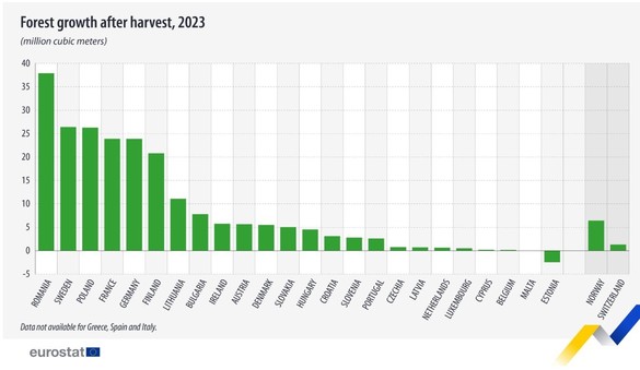 România - campioană europeană la reîmpăduriri. Creșterea pădurilor după recoltare este cea mai mare din UE - GRAFICE