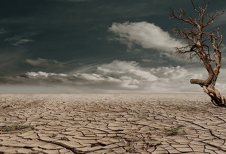 Rata creditelor neperformante crește semnificativ în sectoare cheie ale economiei. Salt major în rândul corporațiilor și la împrumuturile garantate de stat